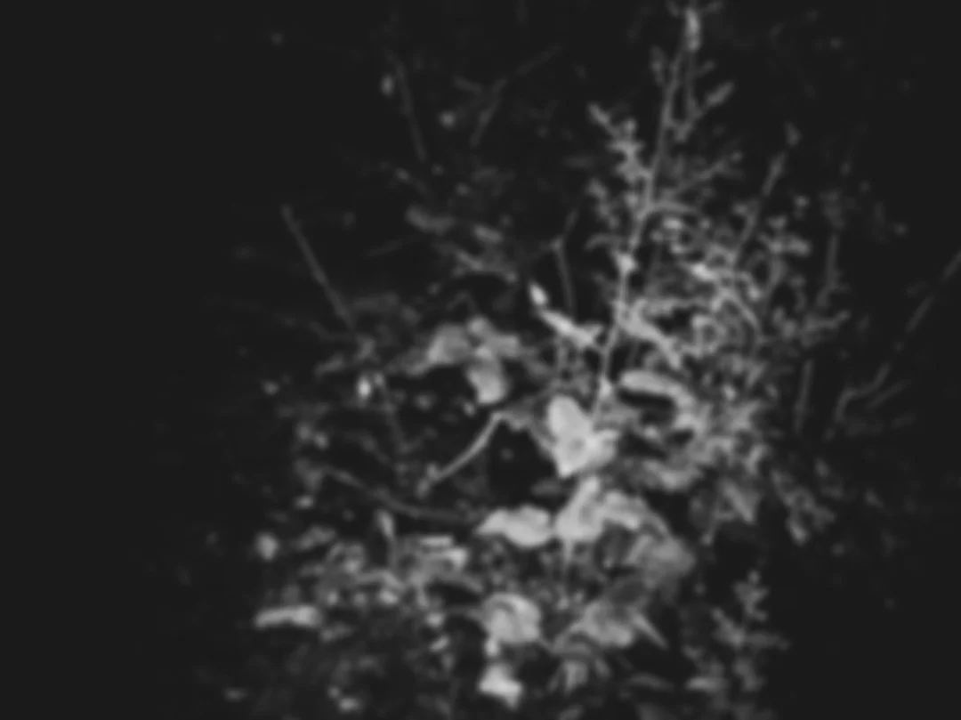 37888052_1281903345278662_1614960351005114368_o.jpg