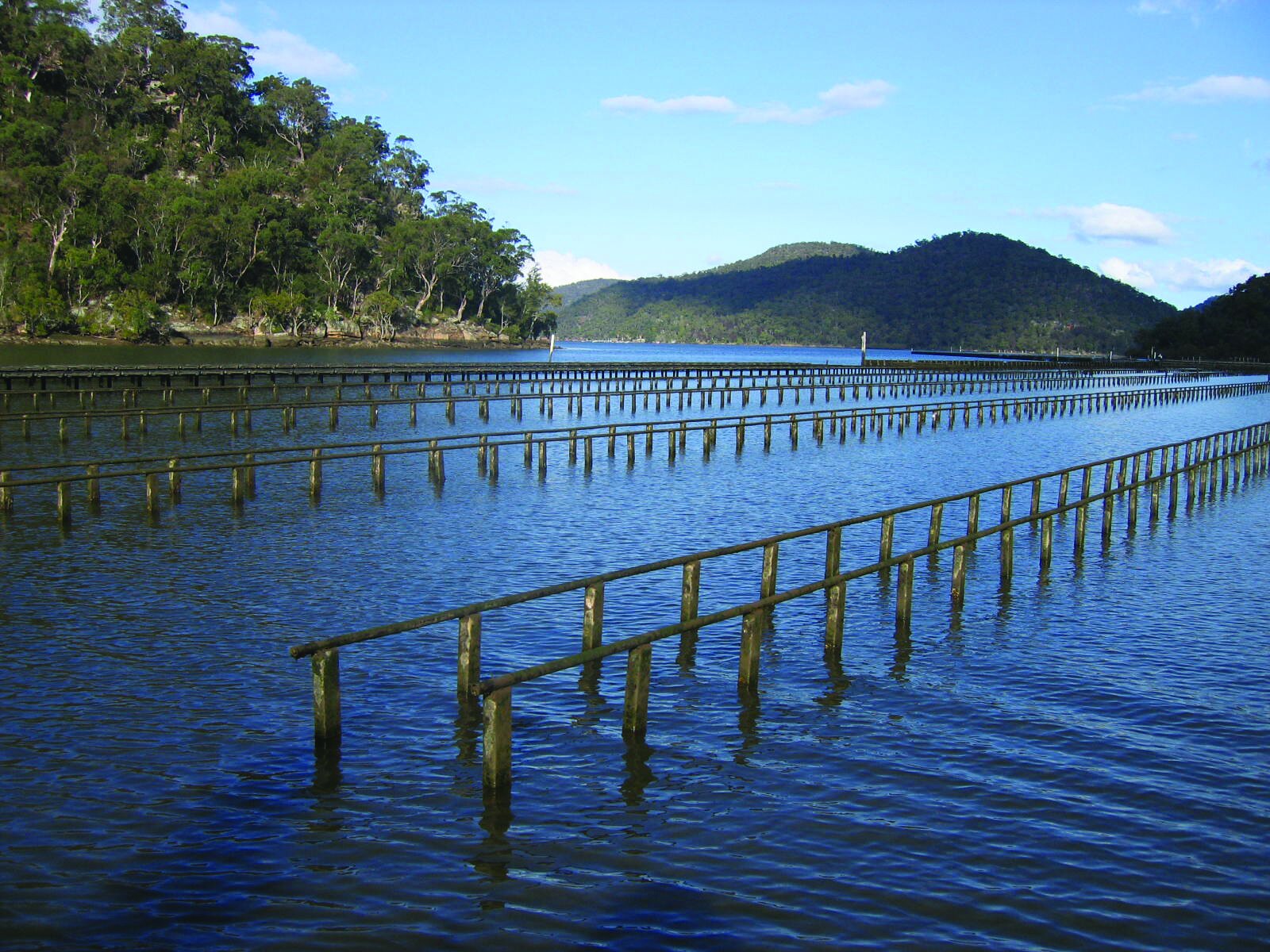   Six councils working together to deliver    Hawkesbury Nepean River System     Coastal Management Program    Explore CMP  