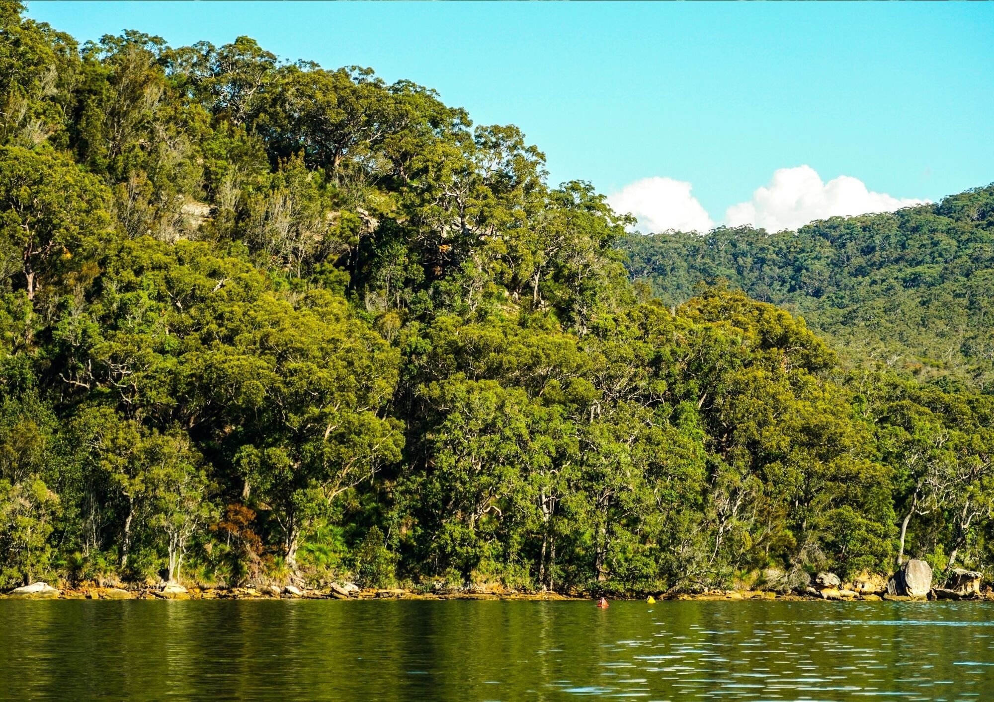   Six councils working together to deliver    Hawkesbury Nepean River System     Coastal Management Program    Explore CMP  