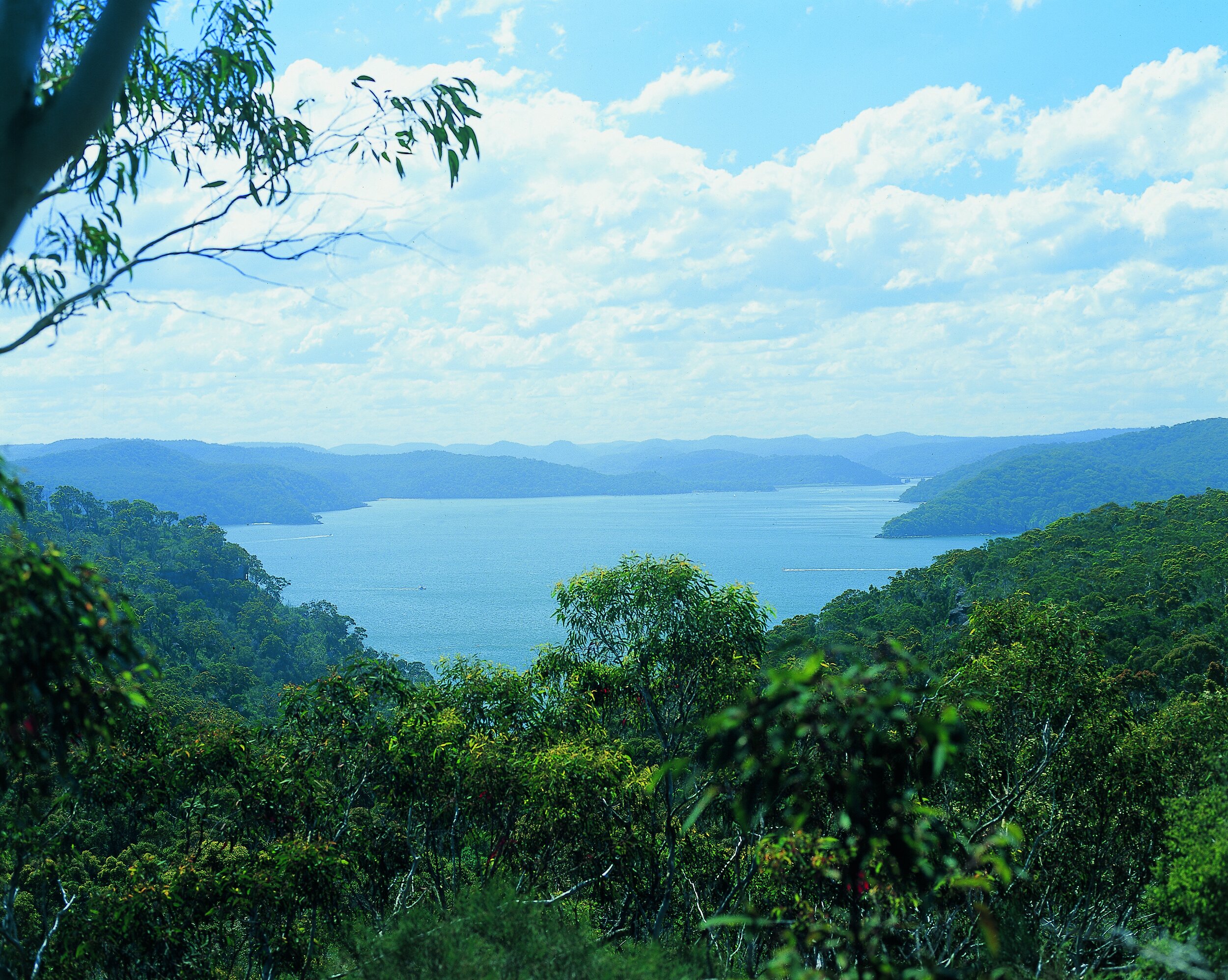   Six councils working together to deliver    Hawkesbury Nepean River System     Coastal Management Program    Explore CMP  