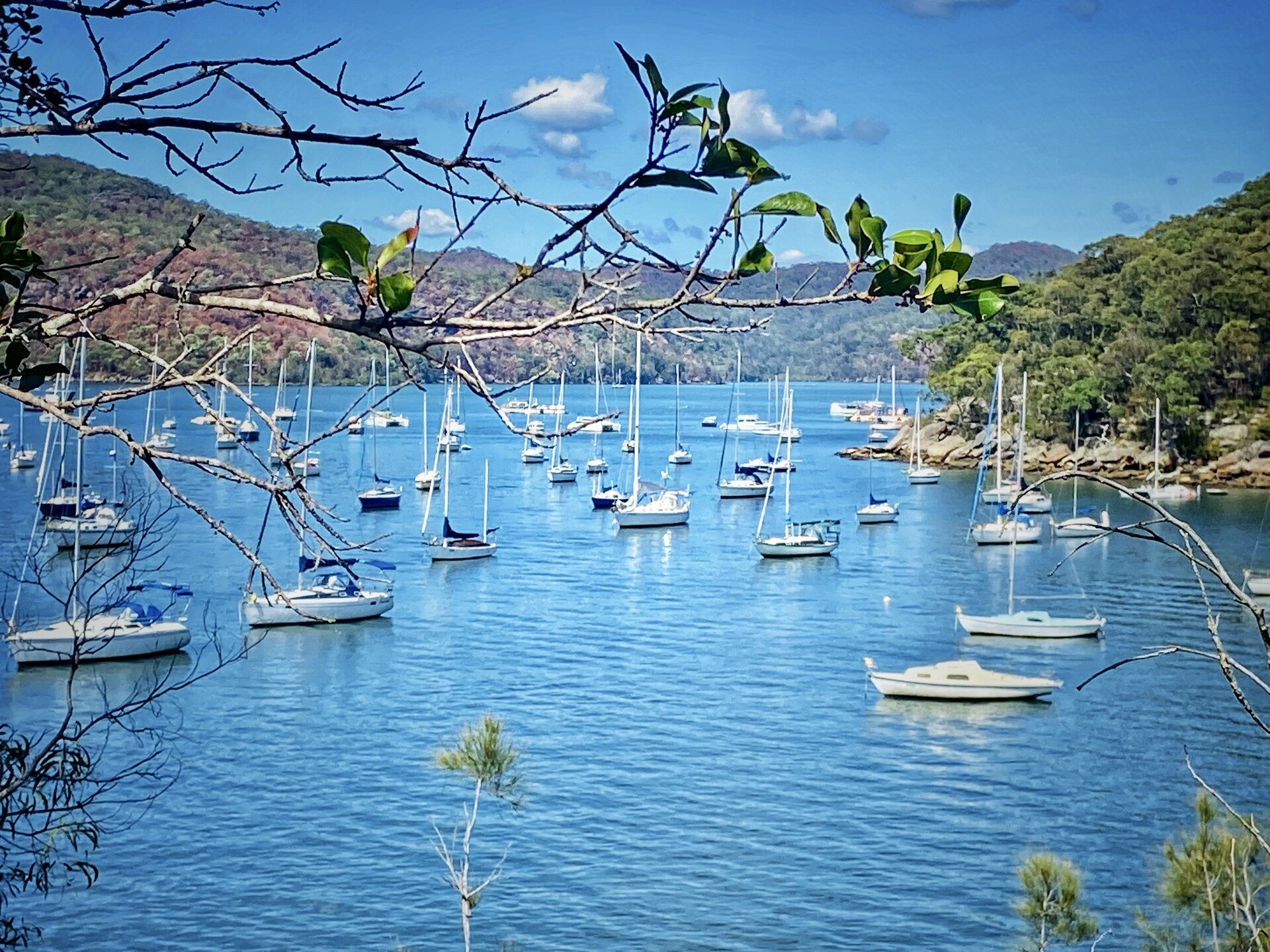 CMP Newsletter 1 - Jan 2022 issue