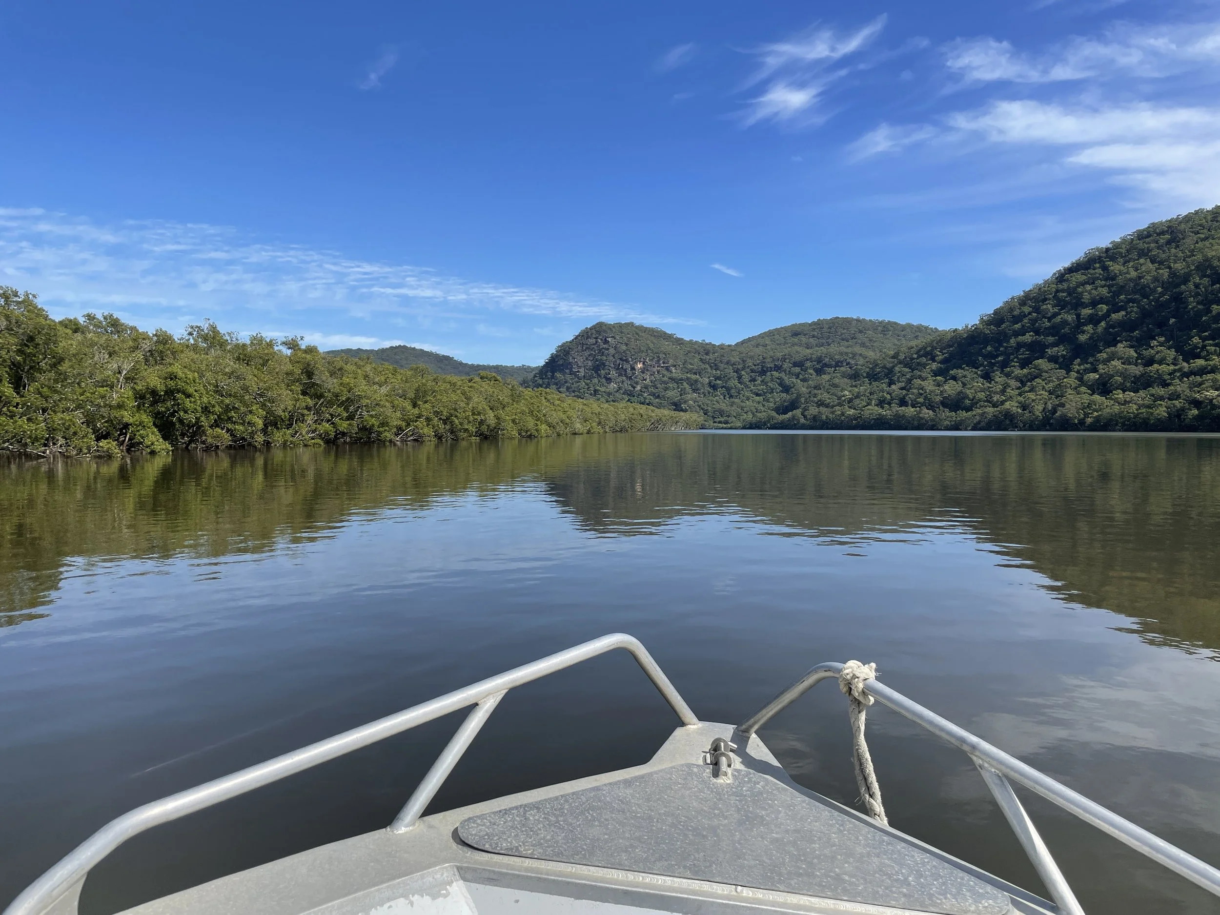 CMP Newsletter 10 - April 2026