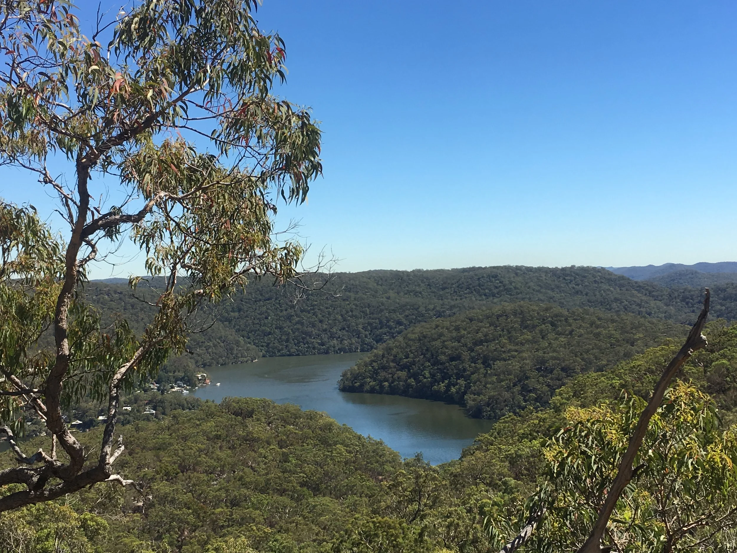 CMP Newsletter 11 - May 2026 