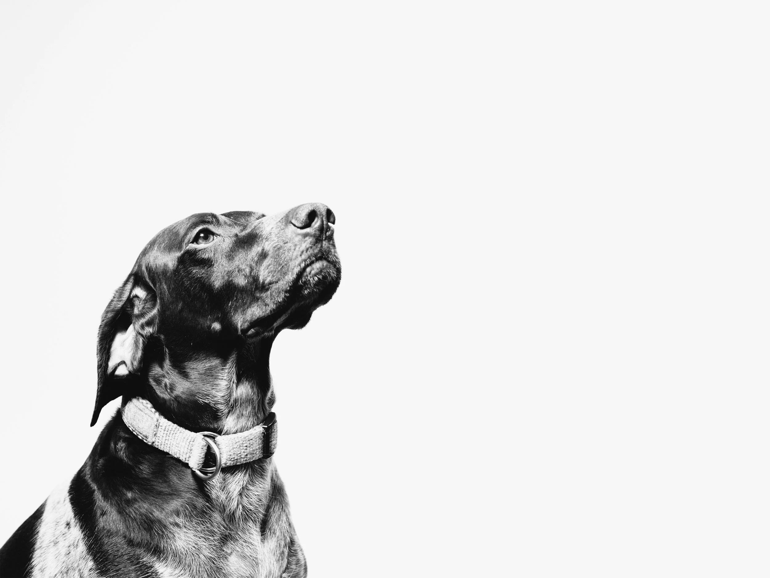unsplash-image-AXtlIC-eHjQ.jpg