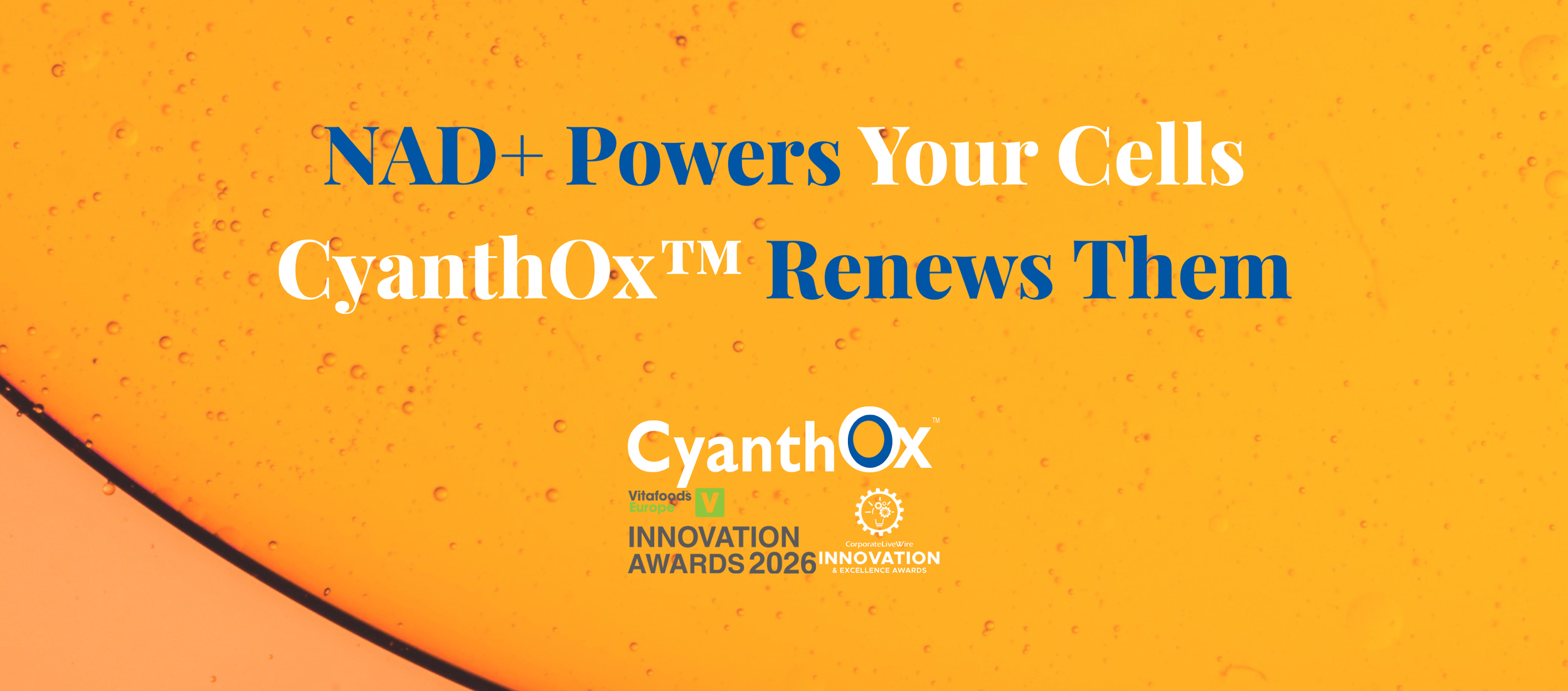 _Website banner 2026 (11).png