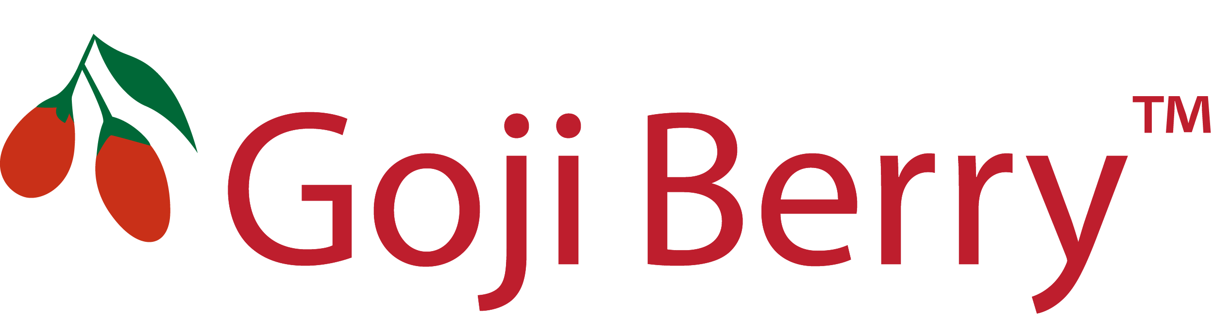 Goji Berry Logo.png
