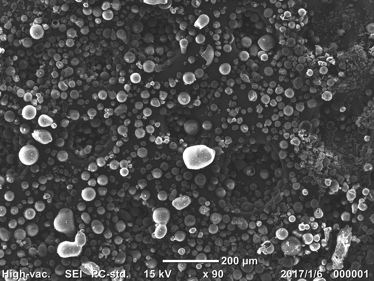 SEM Image of Puredia SeaBerry® Omega Powder at 200μm