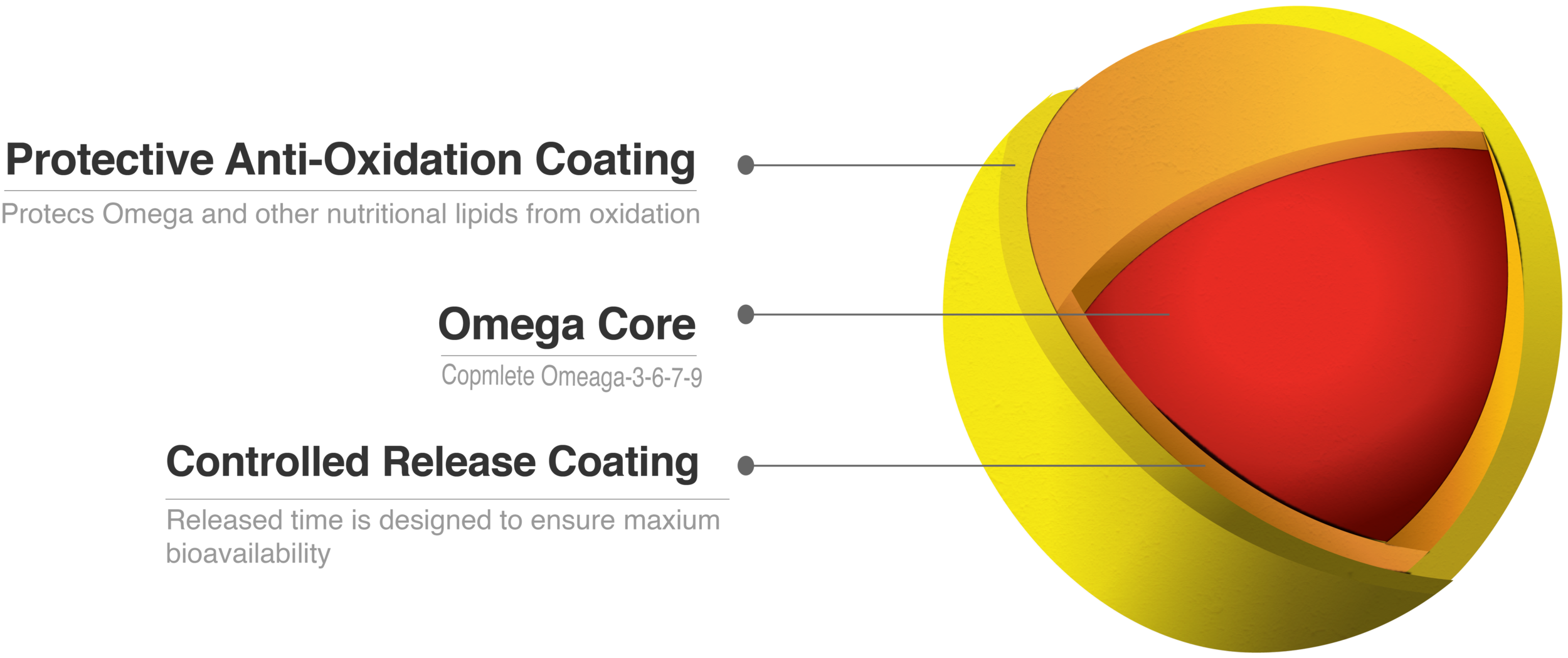 Graphical Demonstration of Puredia Micro-encapsulation Technology