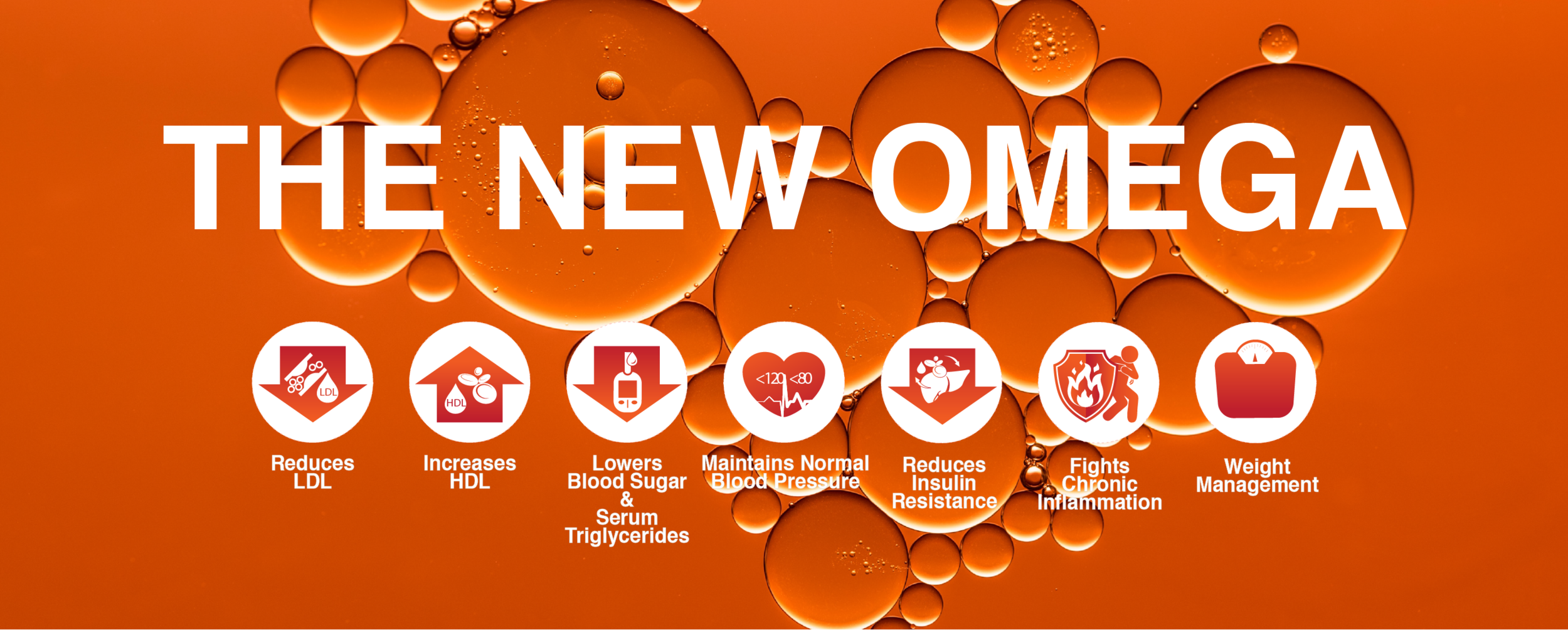 CardiOmegia Home Page Banner.png