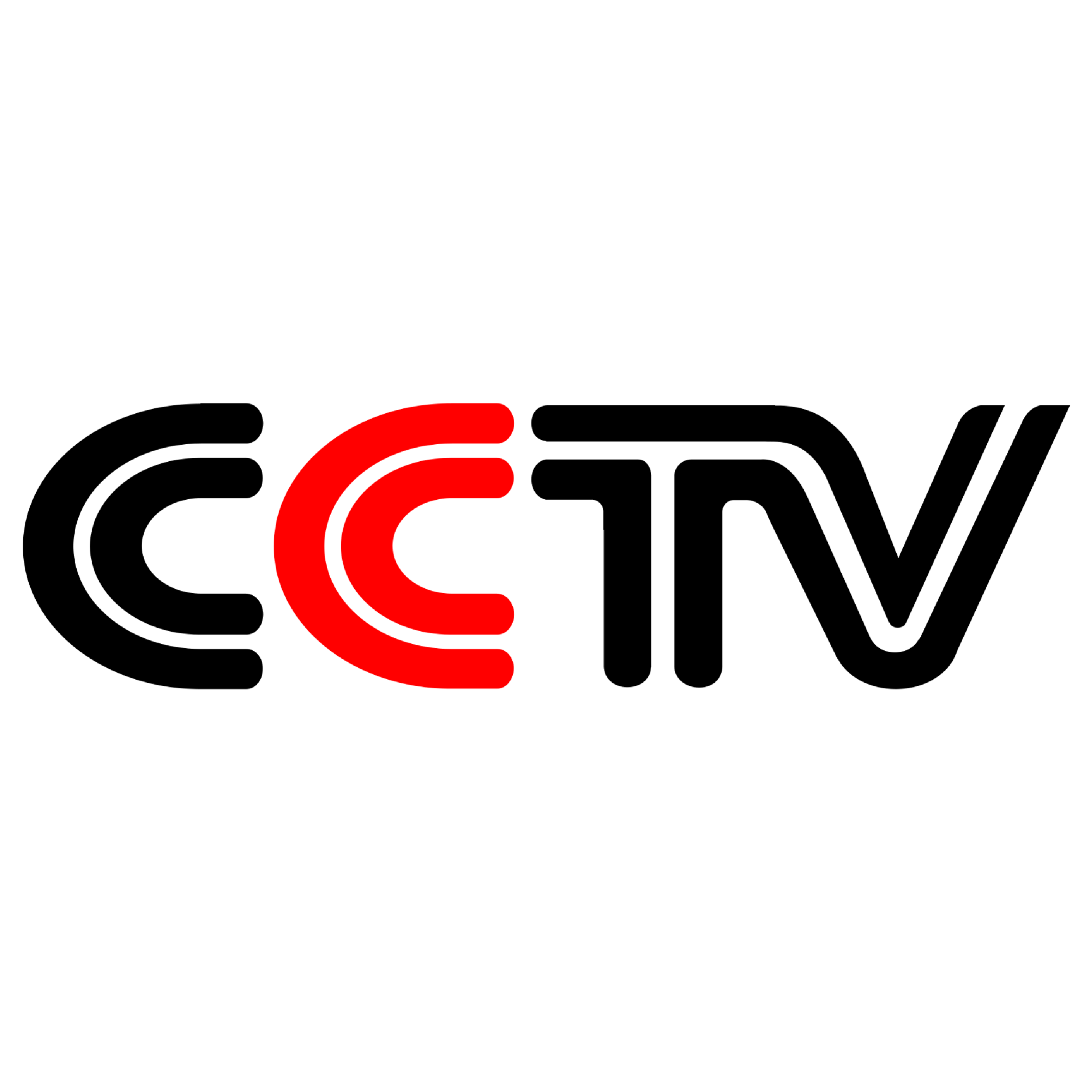 CCTV Interview on Tibet and Sea Buckthorn