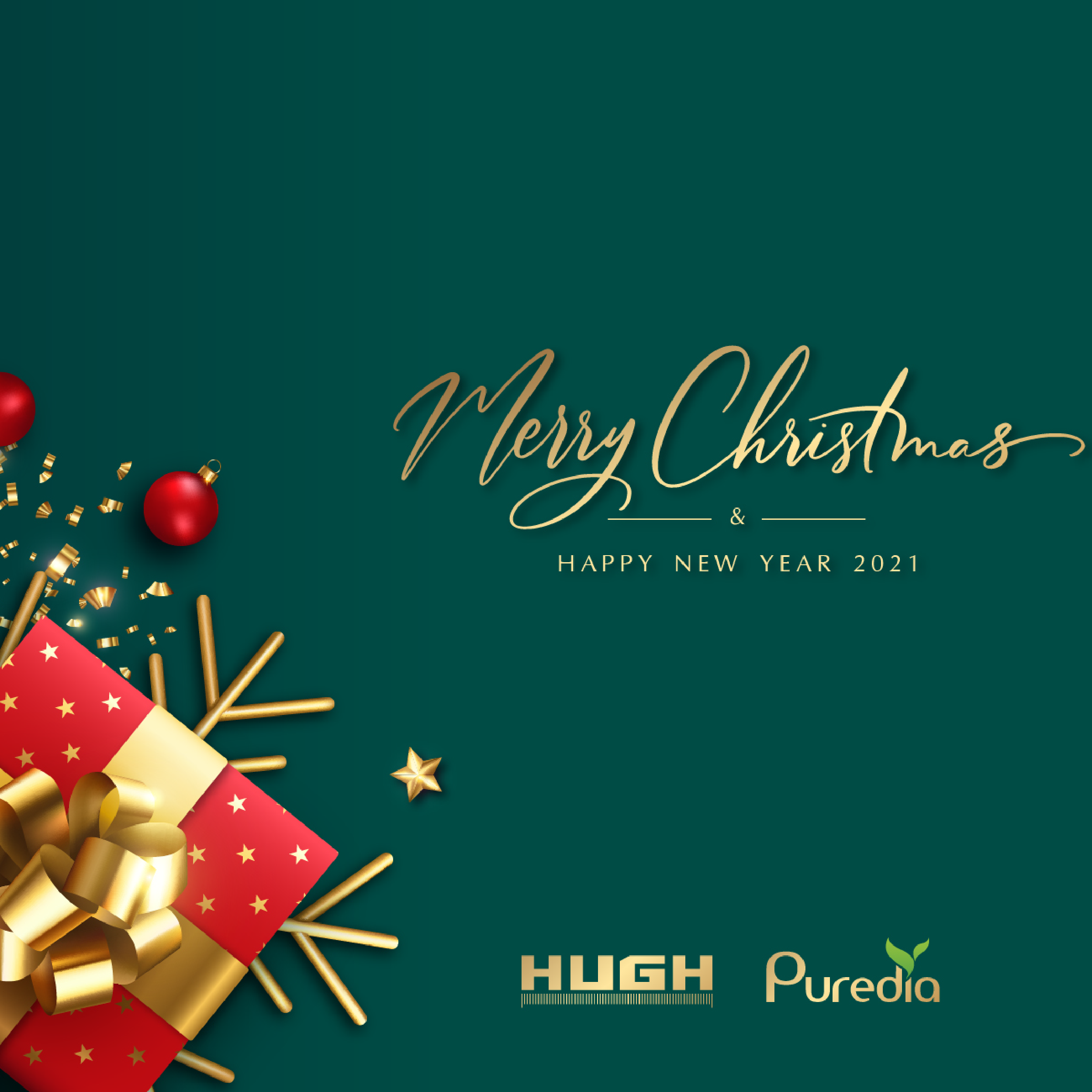 Merry Christmas and Happy New Year!