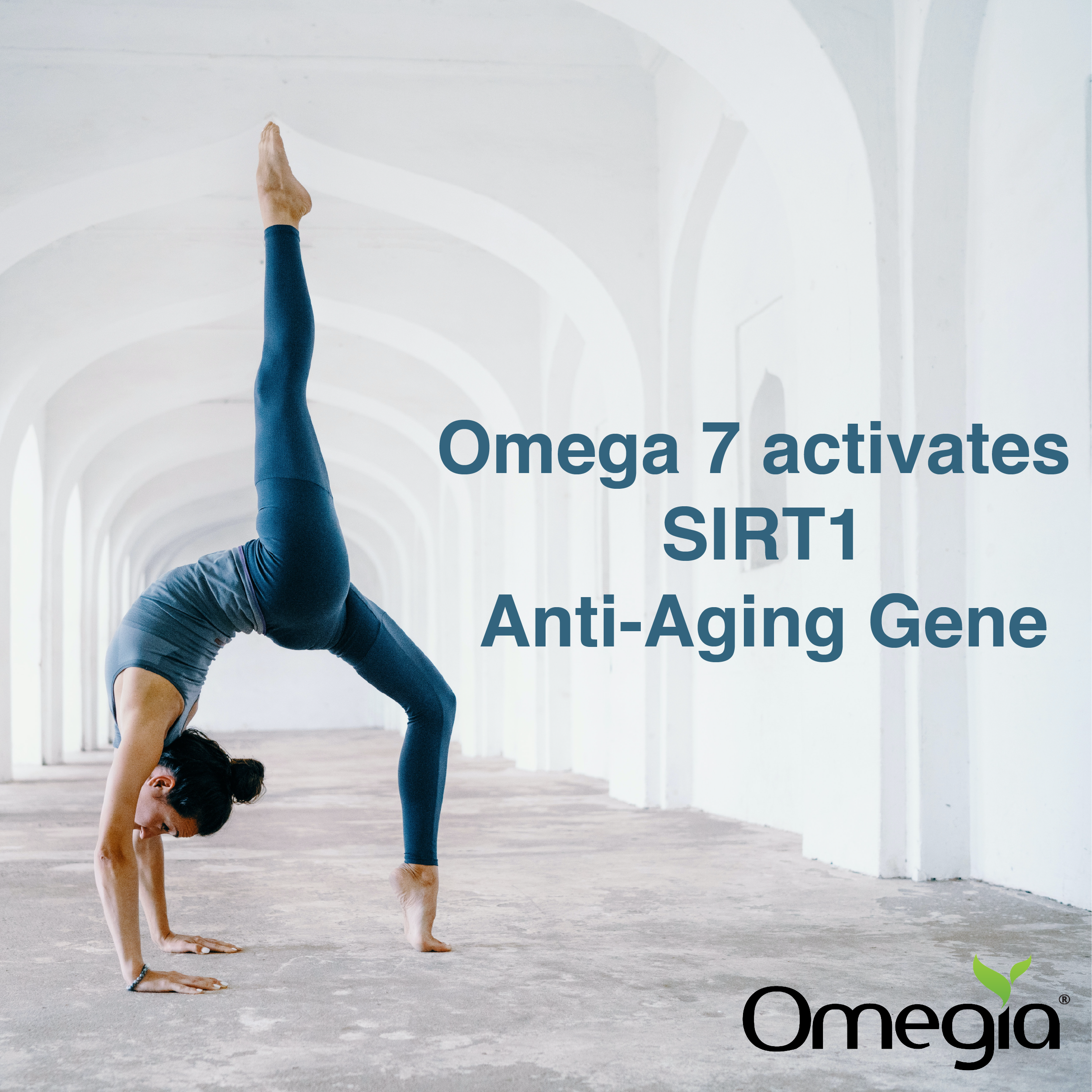 Omega 7 activates SIRT1, anti-aging gene