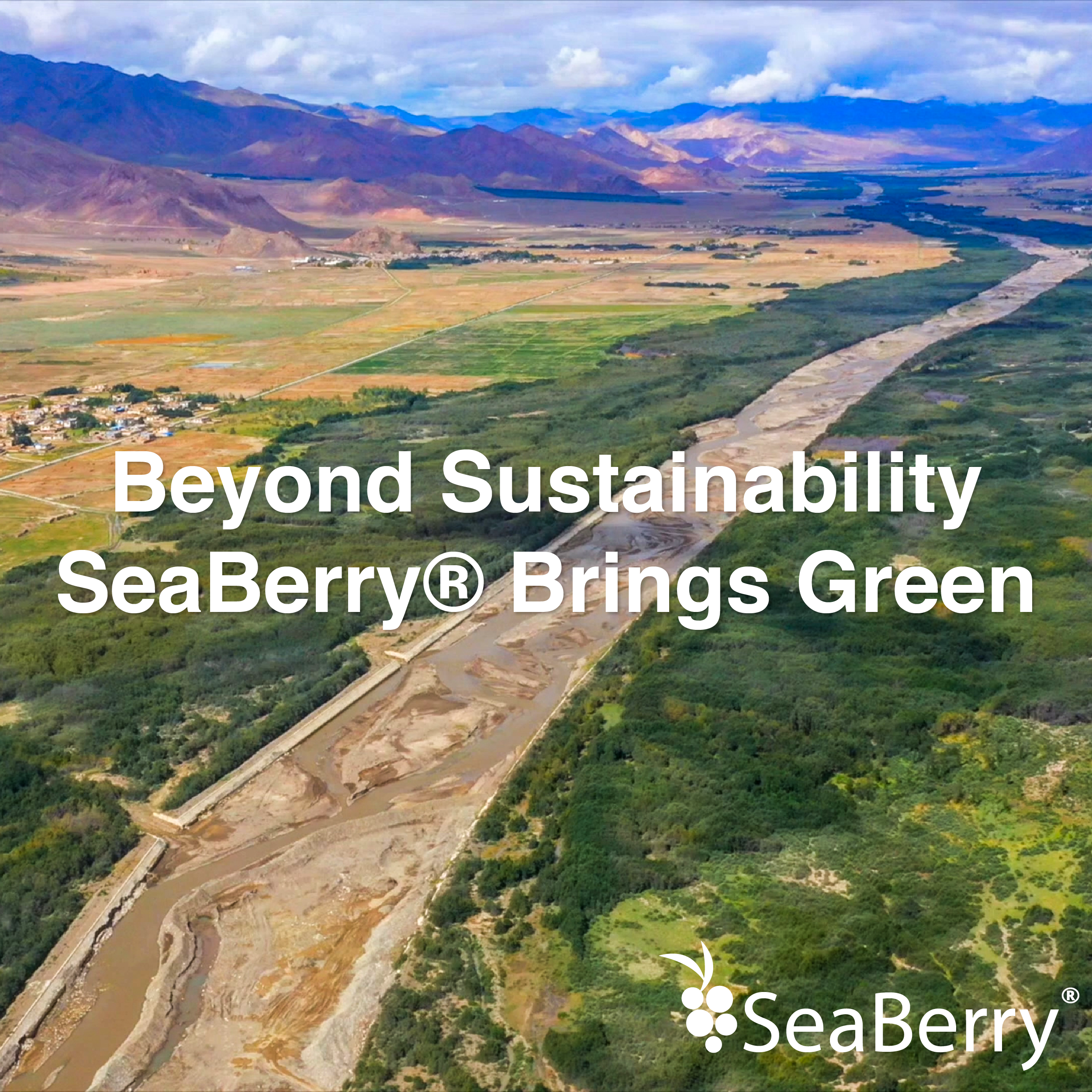 Beyond Sustainability: SeaBerry® Brings Green