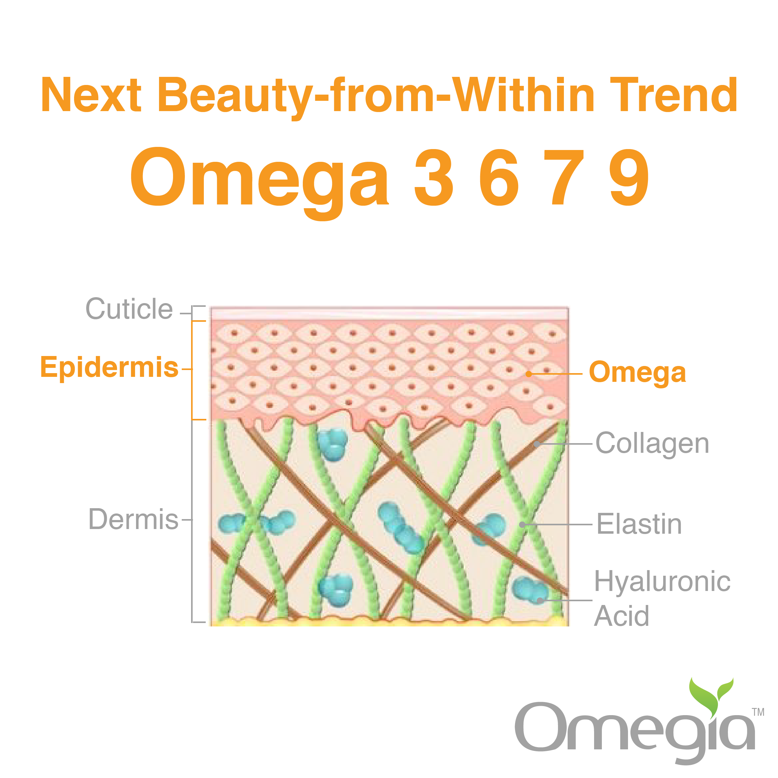 Next Beauty-from-Within Trend: Omega