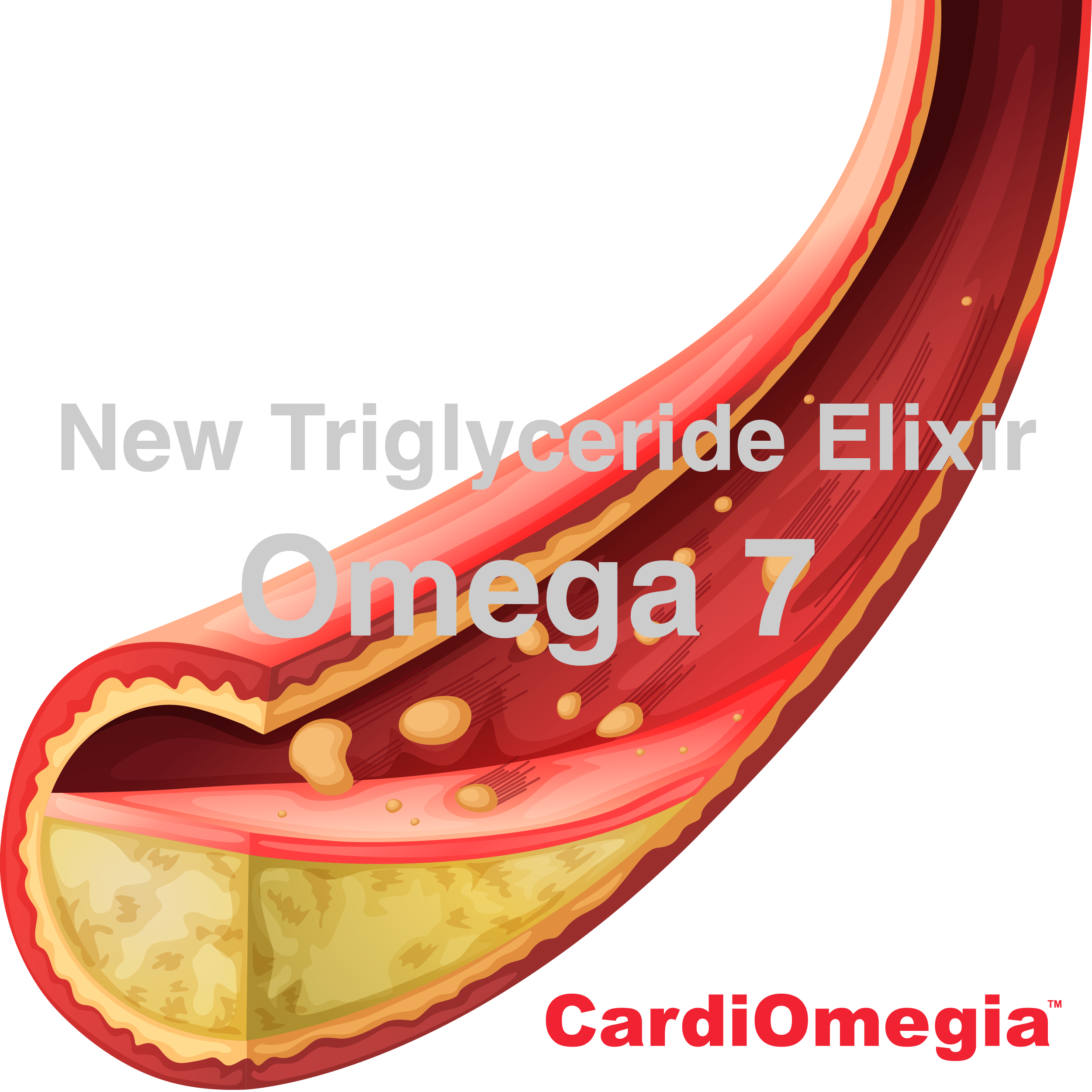New Triglyceride Elixir: Omega 7
