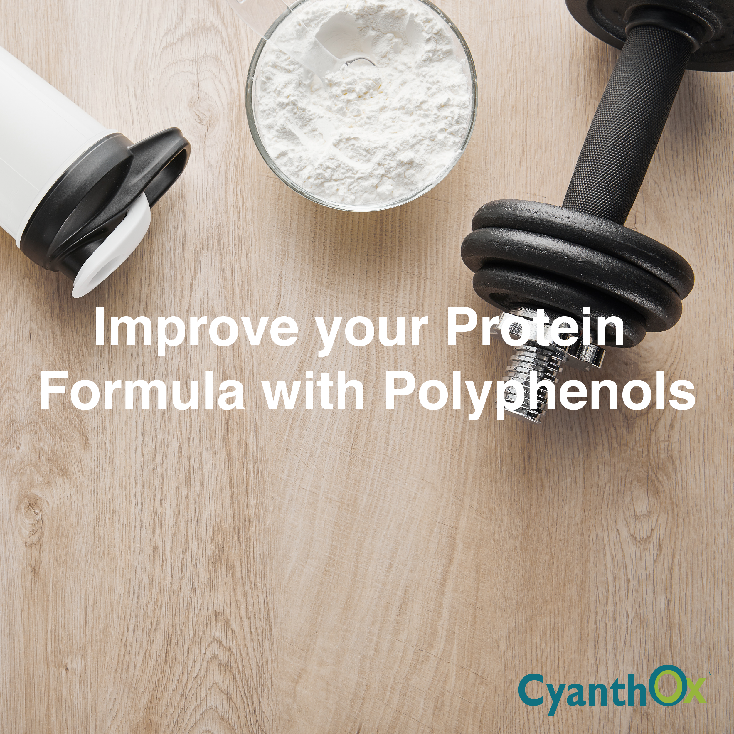 Improve your Protein Formula with Polyphenols