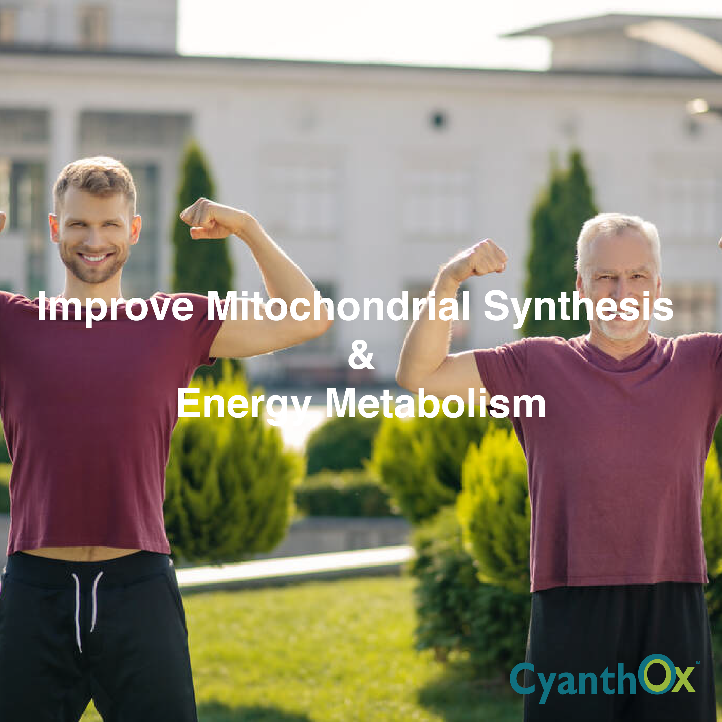 Restore Mitochondrial Health &amp; Energy by CyanthOx™ 