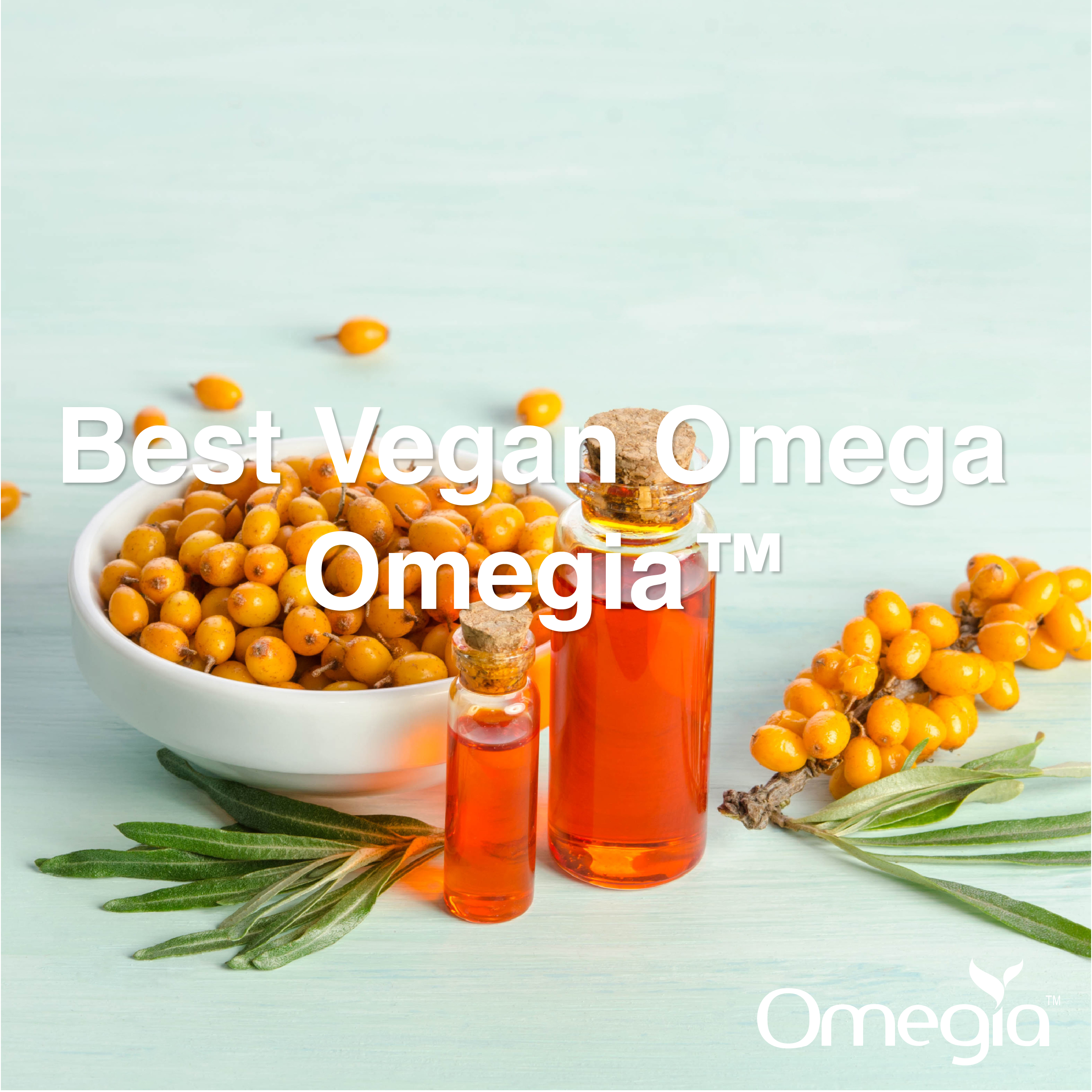 Best Vegan Omega - Omegia™