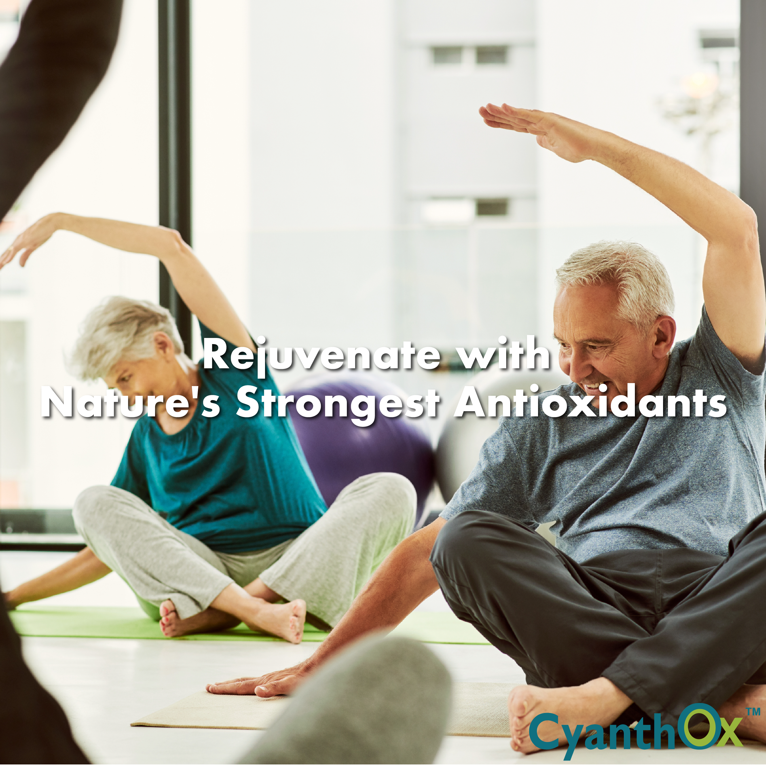 Rejuvenate with Nature's Strongest Antioxidants