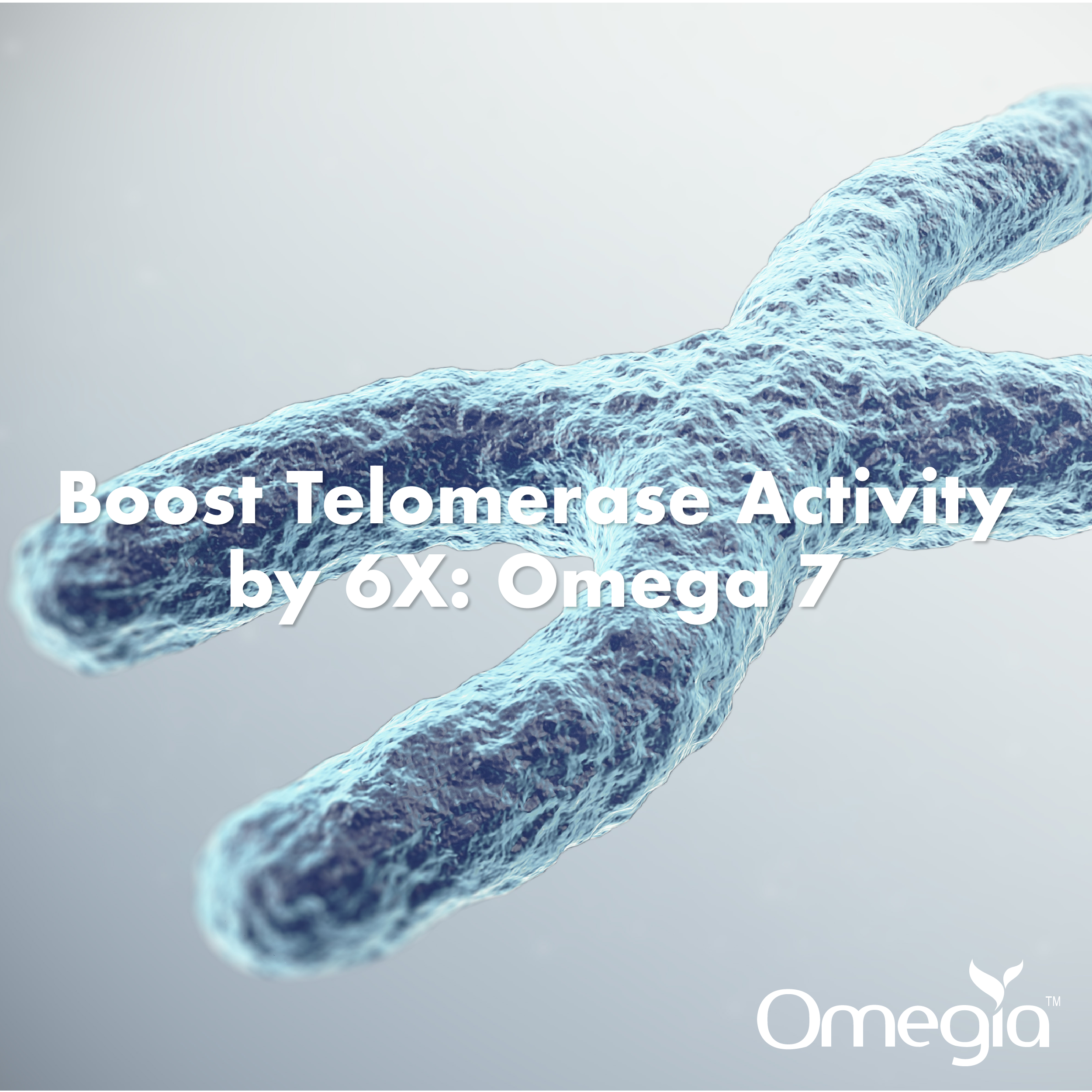 Boost Telomerase Activity by 6X - Omega 7