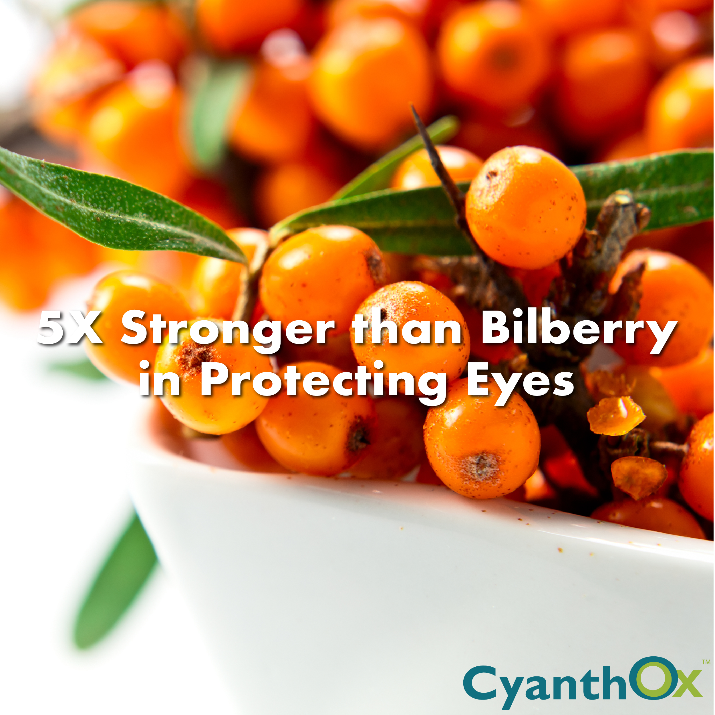 Eye Health Revolution: 5X Stronger than Bilberry