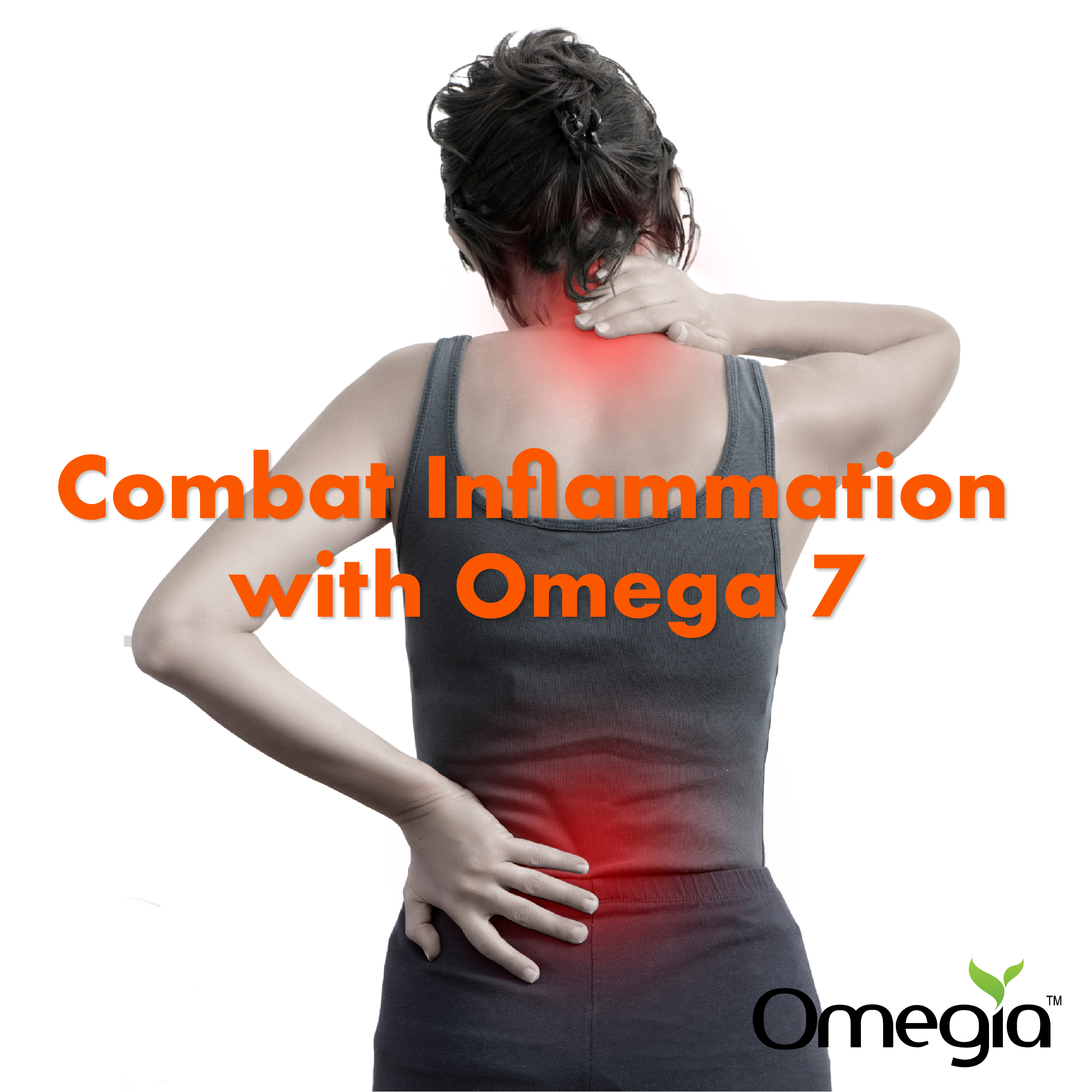 Combat Inflammation with Omega 7