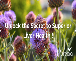 Boost Liver Health! Discover Our 80% Silymarin Milk Thistle Extract