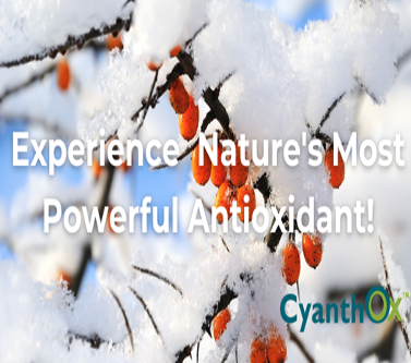 Nature's Most Powerful Antioxidant for Youthful Skin