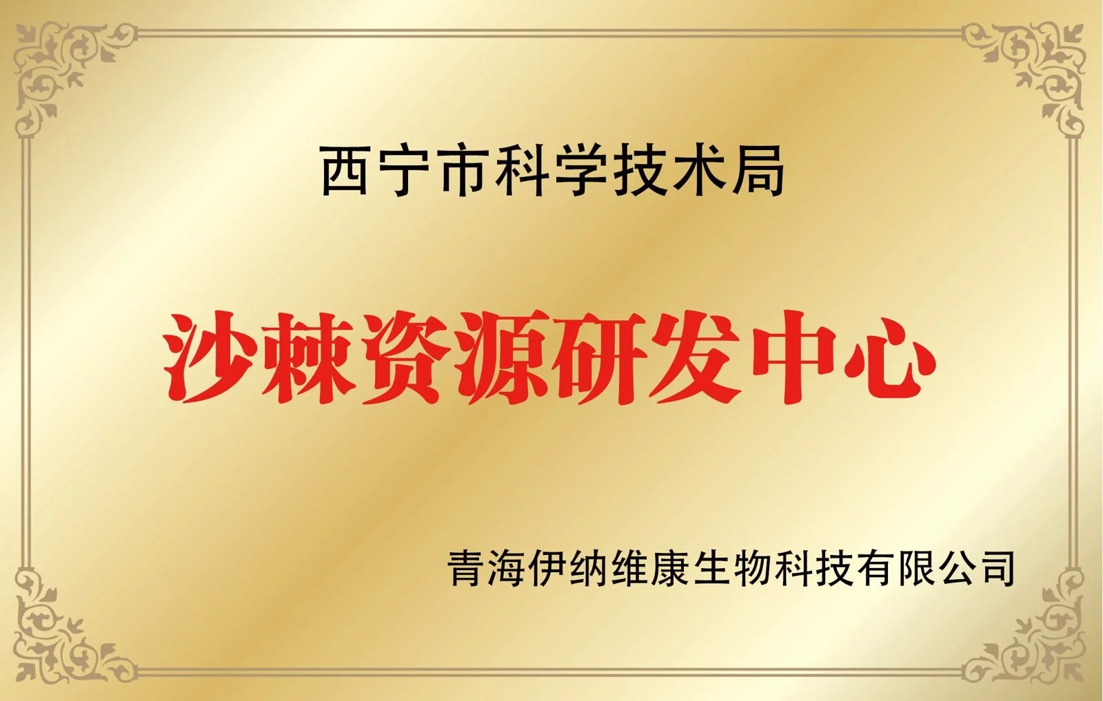 WhatsApp Image 2025-06-10 at 17.54.32.jpeg