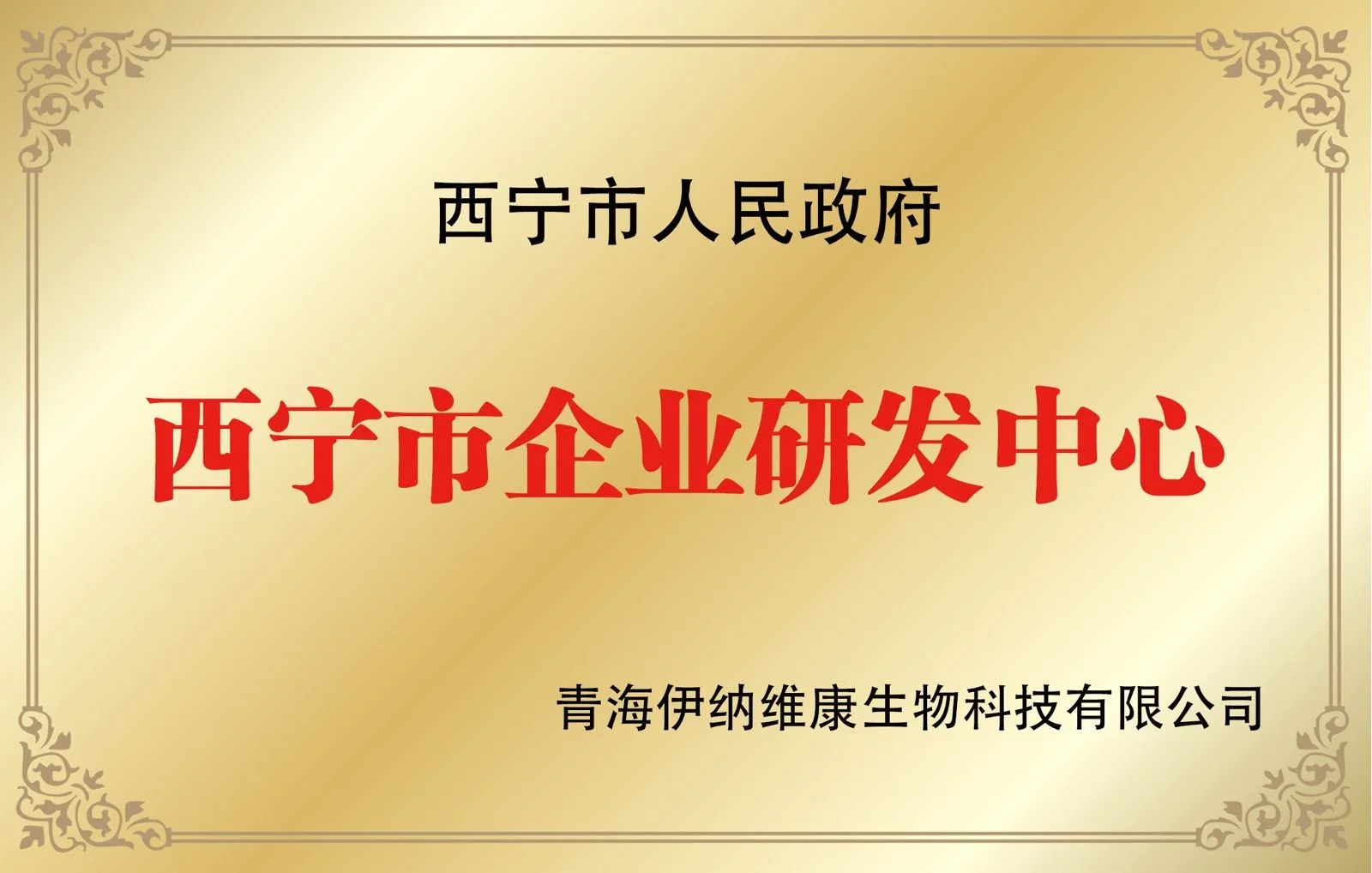 WhatsApp Image 2025-06-10 at 17.54.30.jpeg