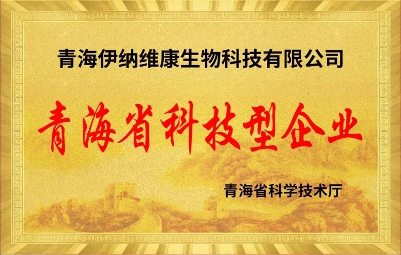 WhatsApp Image 2025-06-10 at 17.54.40.jpeg