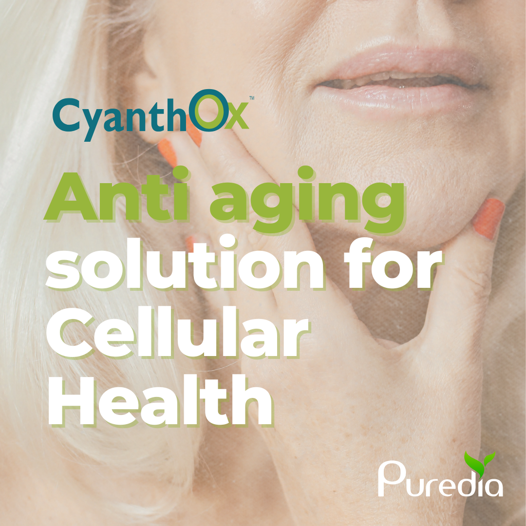 CyanthOx™ Sea Buckthorn Polyphenols Show Promise in Modulating Aging