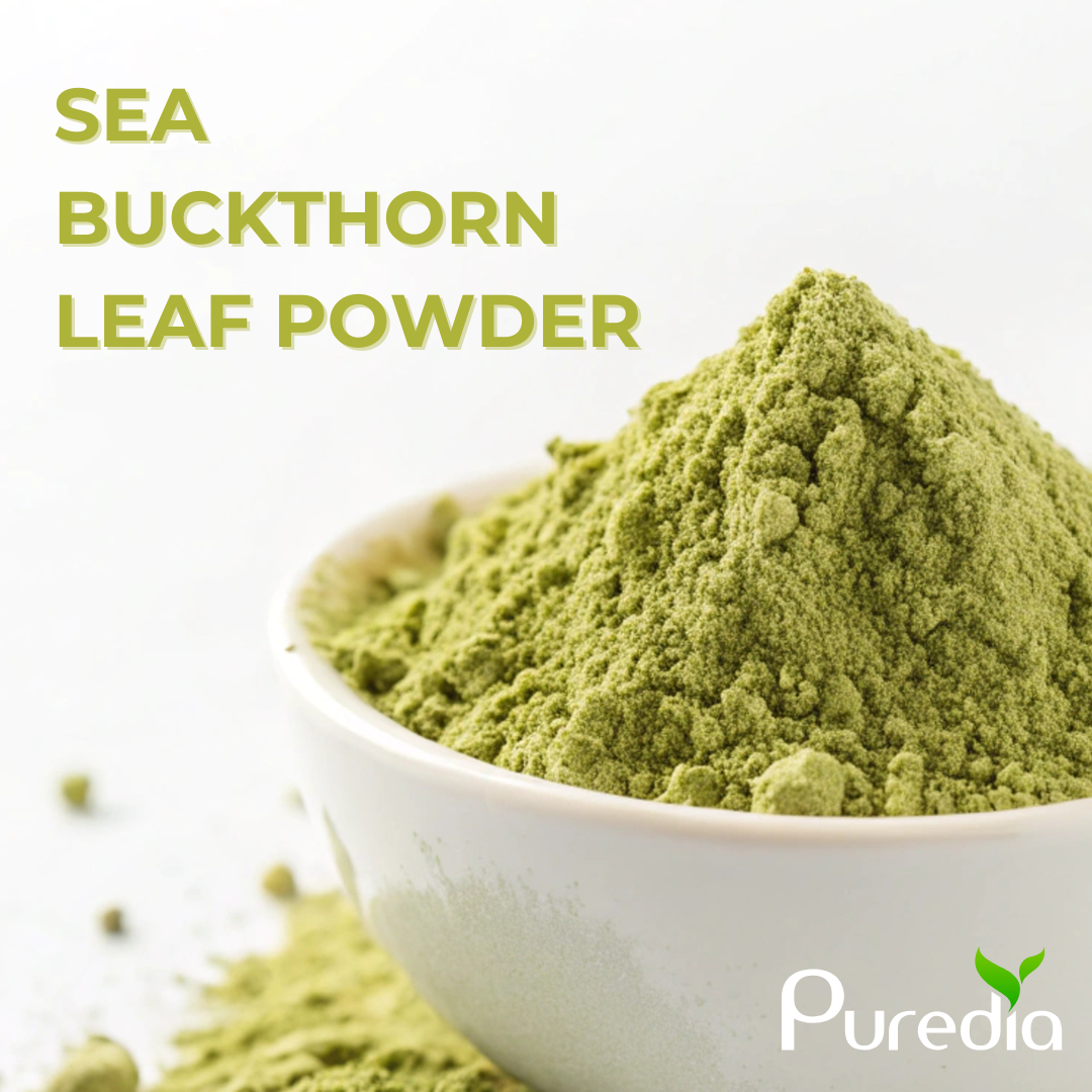 Sea Buckthorn Leaf Powder Shows Powerful Anti-Obesity and Digestive Benefits