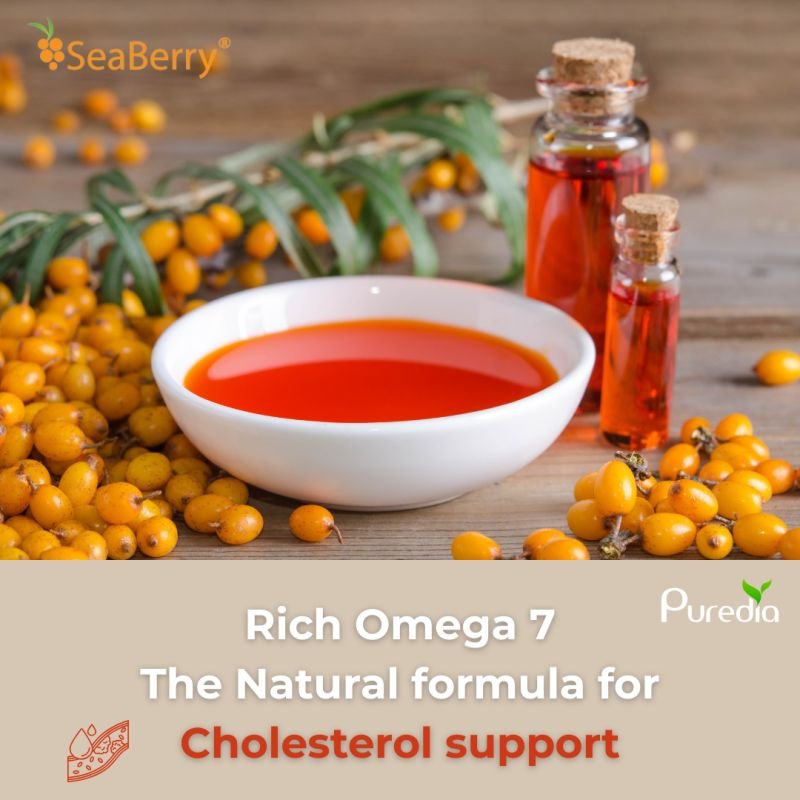 Three-month study: Omega-7 improves cholesterol