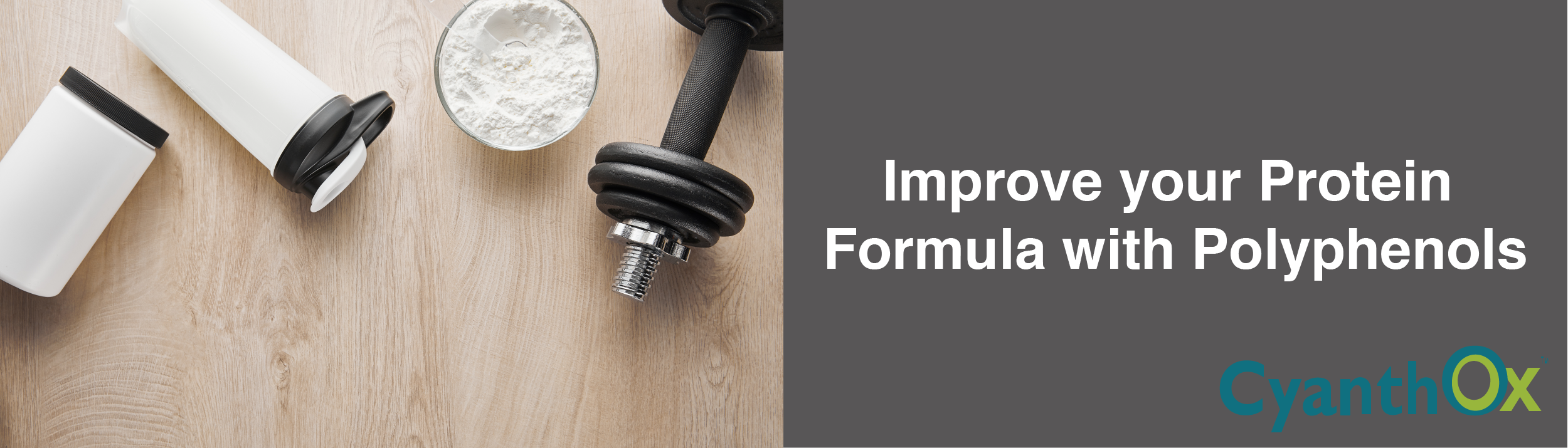 Improve your Protein Formula with Polyphenols — Puredia