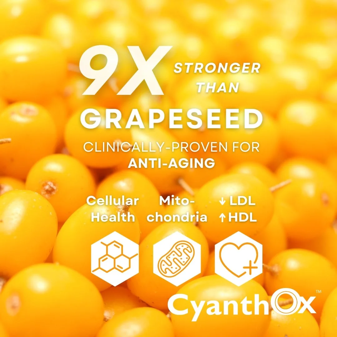 Upgrade Your Grapeseed Formula with the Strongest Antioxidants — Puredia