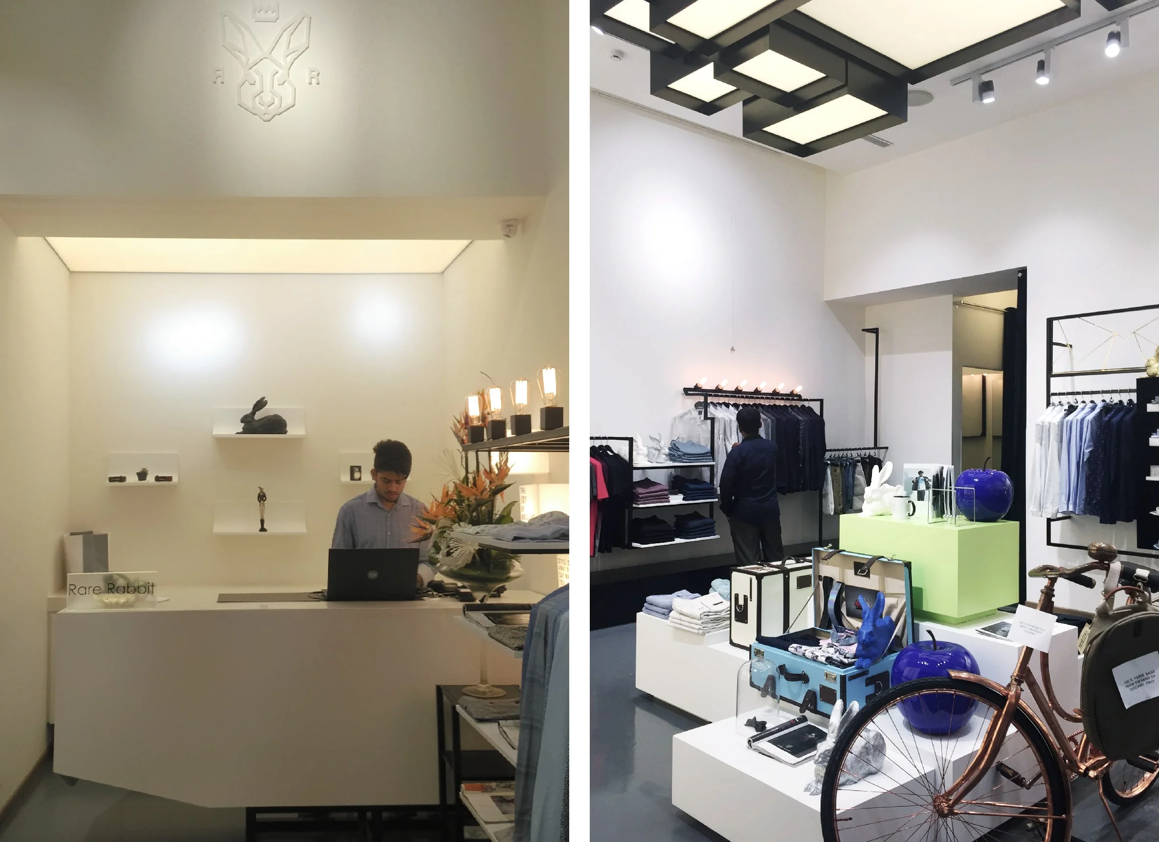 2018_12_28_RARE RABBIT_WEBSITE-03-min.jpg