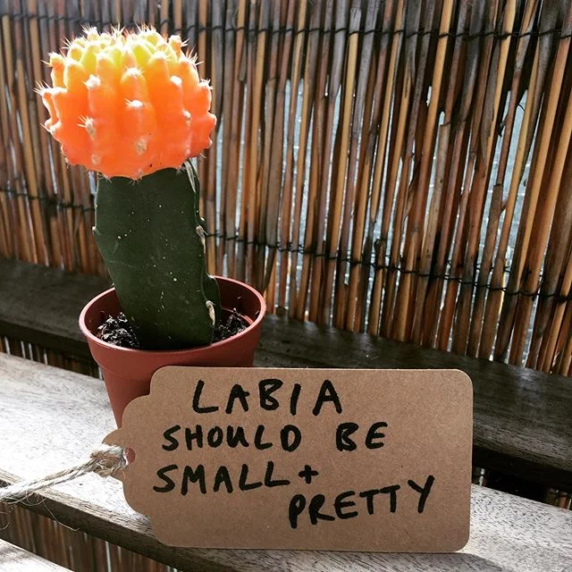 The person who shared this plant said it was planted by porn.
I grew up before there was infinite free porn at your fingertips, and I never really found it appealing enough to seek it out. So I consider myself lucky not to have received this idea whe