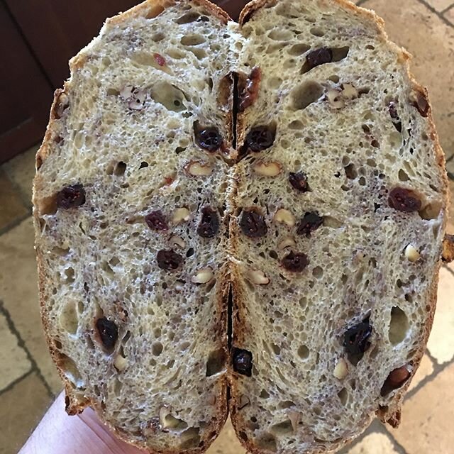 Made Sourdough Walnut Cranberry bread today for the @napafarmersmkt What do you think? #bread #sourdough #sourdoughbread #sourdoughstarter
#artisanbread #pretzelsofinstagram 
#fancysavagecuisine #fancysavagefood #culinary #napavalley #winecountry #na