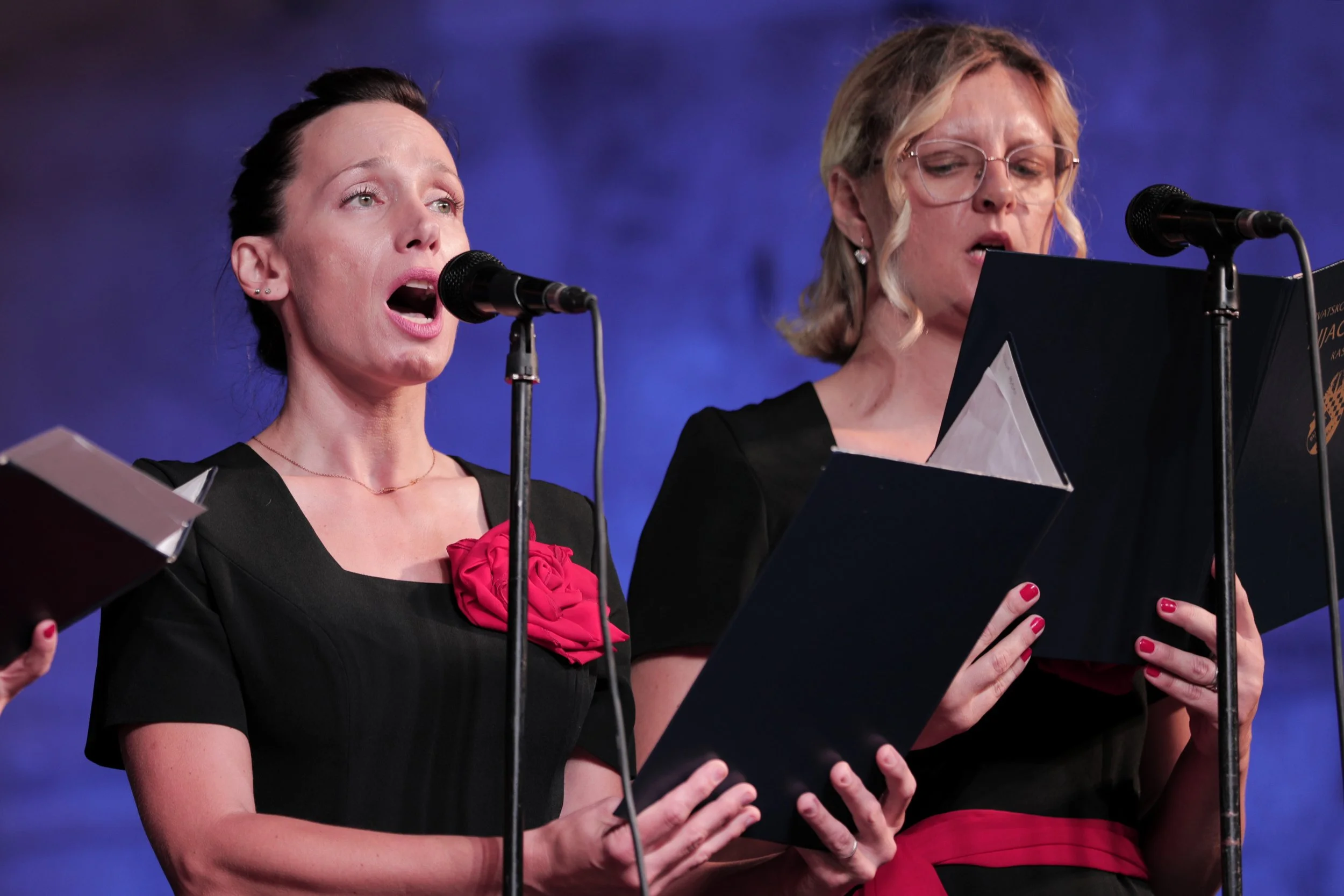 kastelansko ljeto (14).JPG