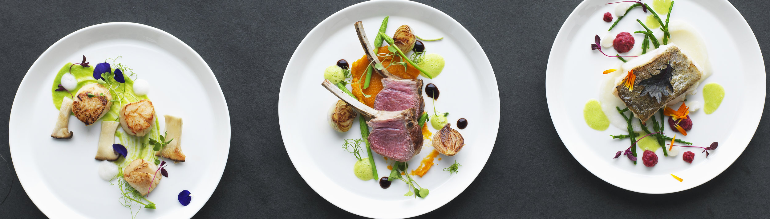 TOYOU_FINE DINING RT2.jpg