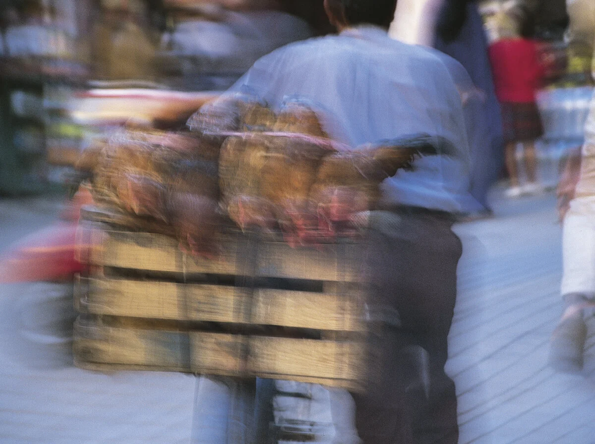 LEE_GLADMAN PORTFOLIO PART2_0034_Layer 20.jpg