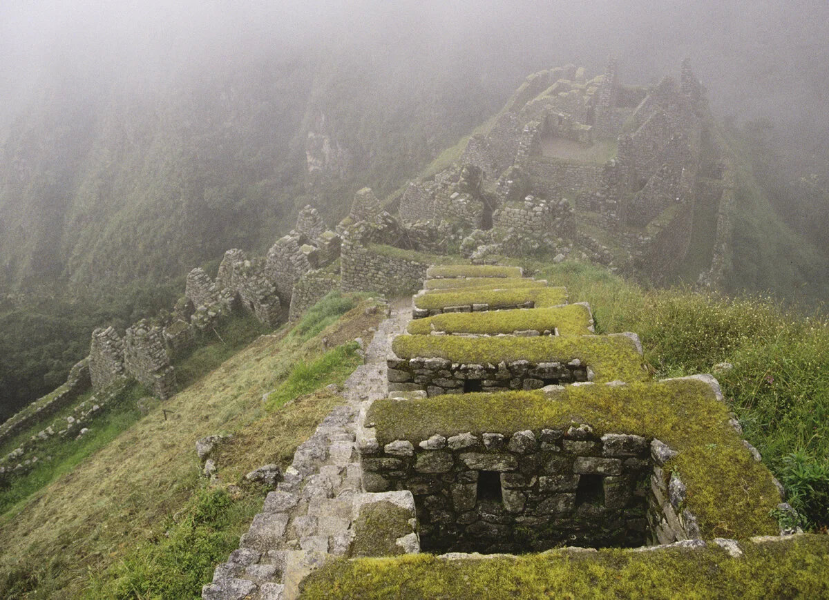 LEE_GLADMAN PORTFOLIO PART2_0036_Layer 18.jpg