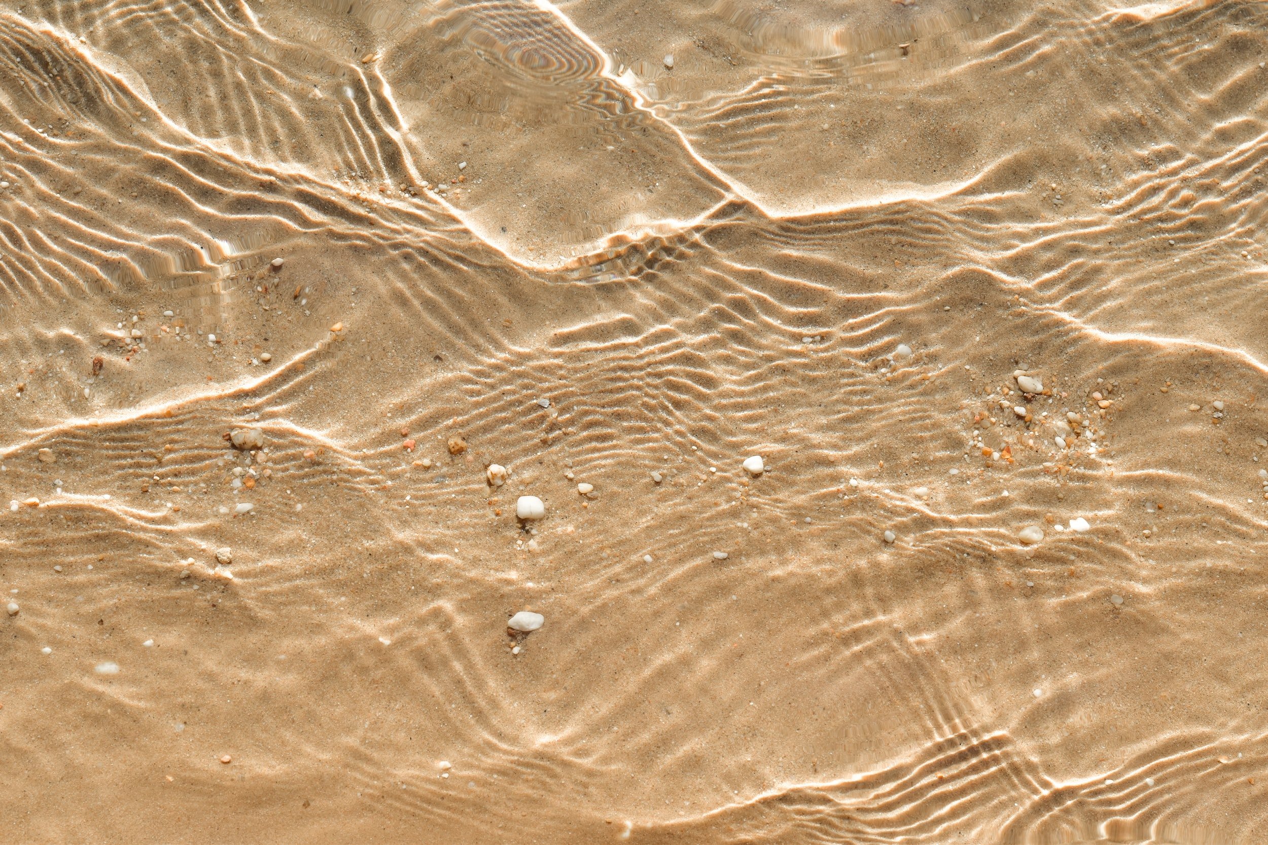 unsplash-image-vvXmOOL2dRE.jpg