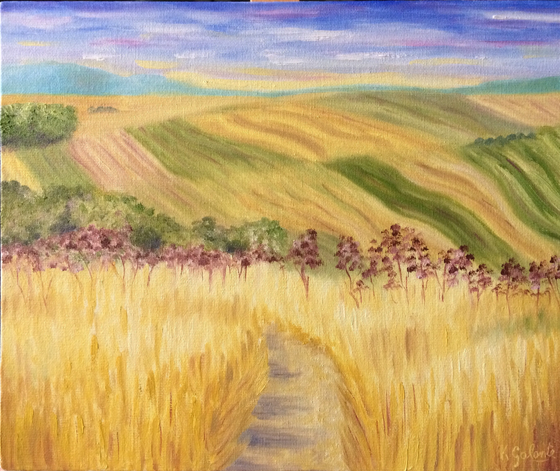 i campi di Tangi.png