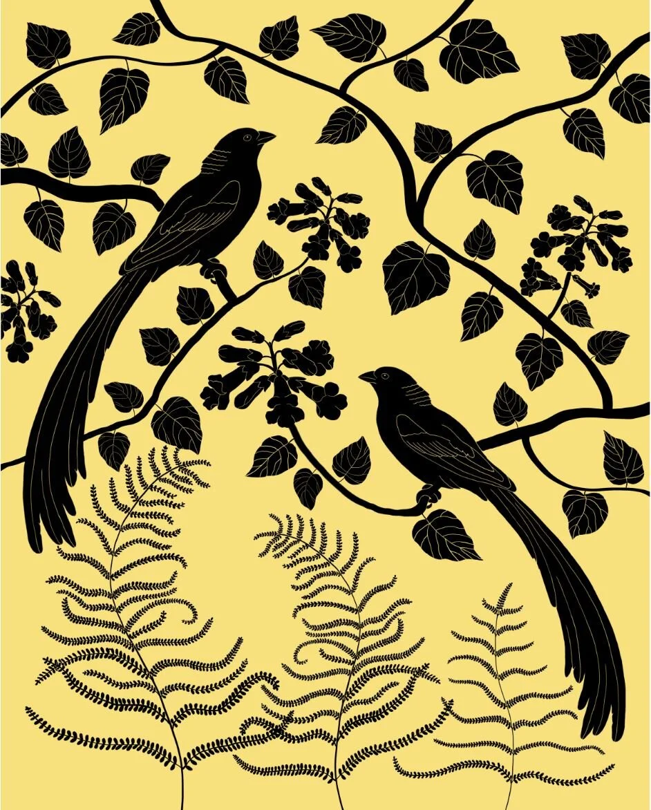 Long-Tailed Birds Resting on a Paulownia Tree