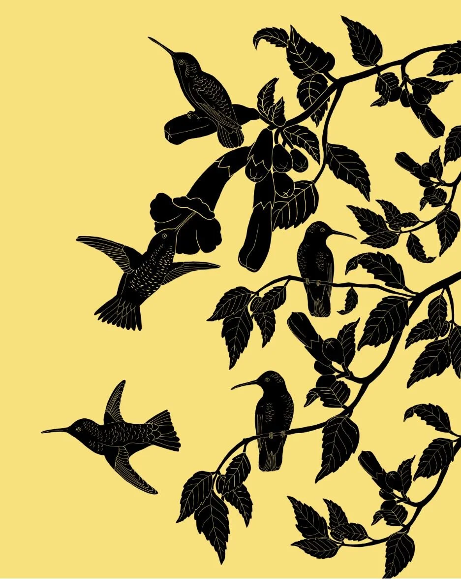 hummingbirds clipping.JPG