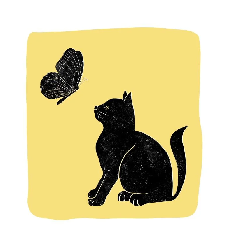 The Cat and the Butterfly 