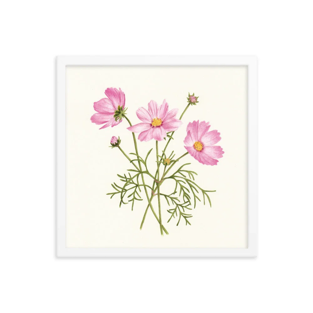 enhanced-matte-paper-framed-poster-(in)-white-16x16-transparent-612a01db7519b.jpg