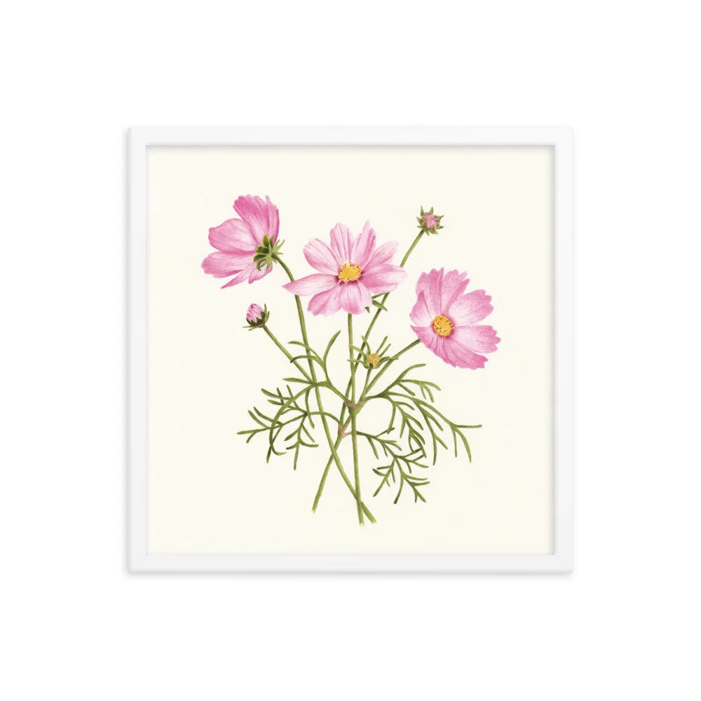 enhanced-matte-paper-framed-poster-(in)-white-18x18-transparent-612a01db75382.jpg